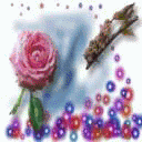 pour tous les amoureux